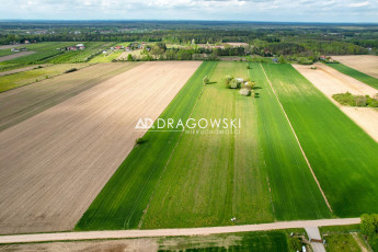 Działka Sprzedaż Pasikonie