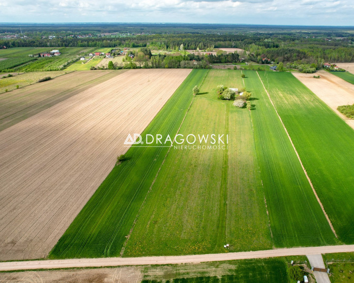 Działka Sprzedaż Pasikonie