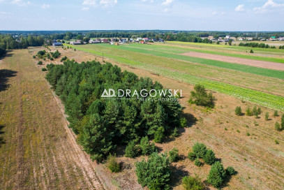 Działka Sprzedaż Białebłoto-Stara Wieś